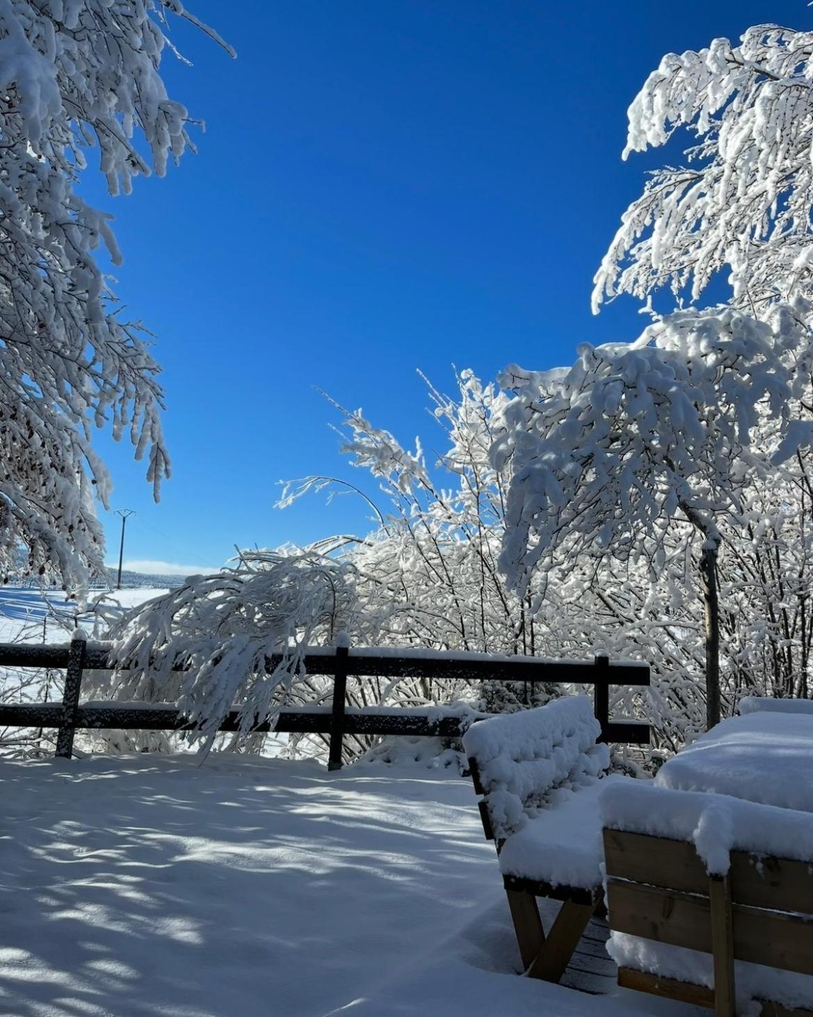 Chalet Cosy Entre Lacs Et Montagnes Métabief 外观 照片